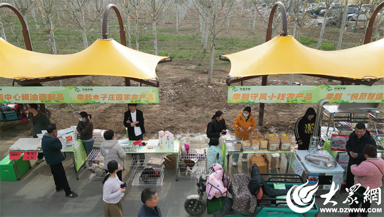 匠心傳承，共富同行 廣饒縣李鵲鎮“好品李鵲共富市集”上的麥秸畫藝術